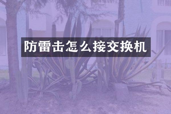 防雷击怎么接交换机