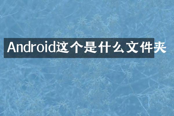 Android这个是什么文件夹