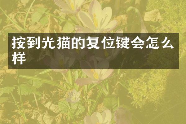 按到光猫的复位键会怎么样