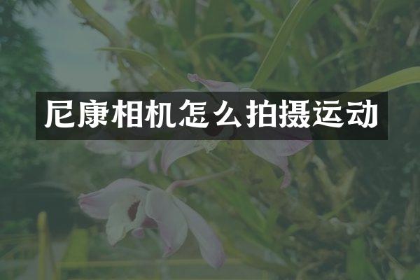 尼康相机怎么拍摄运动