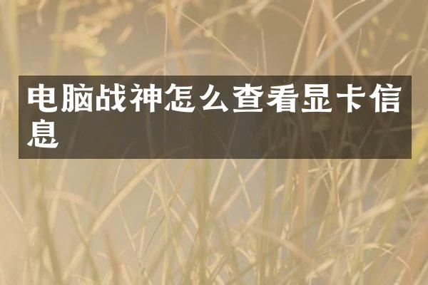 电脑战神怎么查看显卡信息