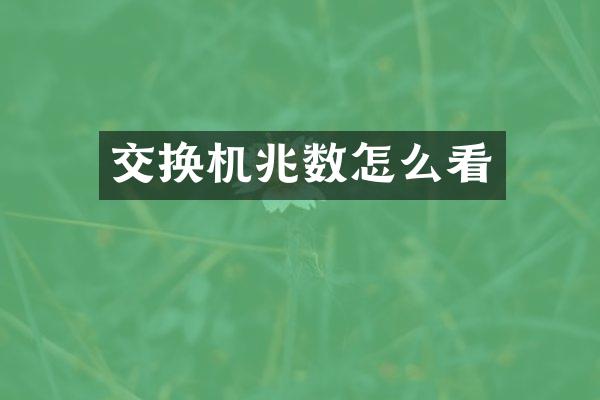 交换机兆数怎么看