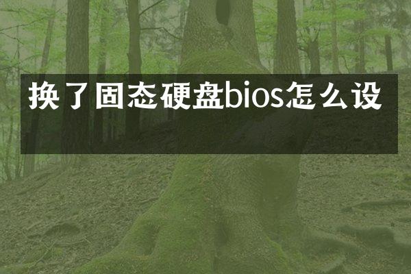 换了固态硬盘bios怎么设置