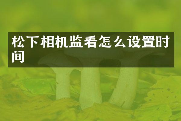 相机监看怎么设置时间