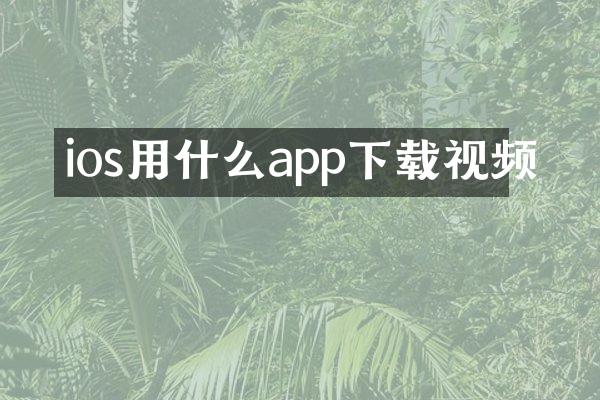 ios用什么app下载视频