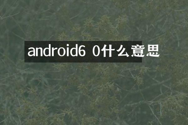 android6 0什么意思