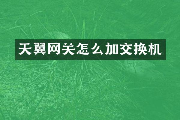 天翼网关怎么加交换机