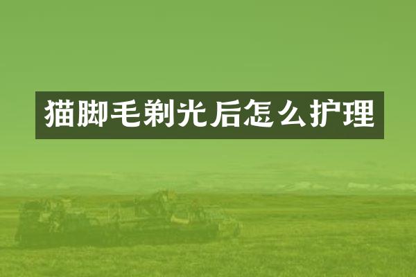猫脚毛剃光后怎么护理