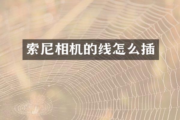 相机的线怎么插