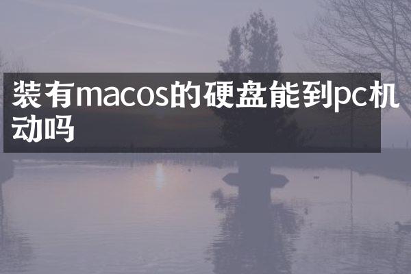 装有macos的硬盘能到pc机启动吗
