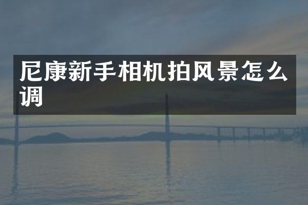 尼康新手相机拍风景怎么调