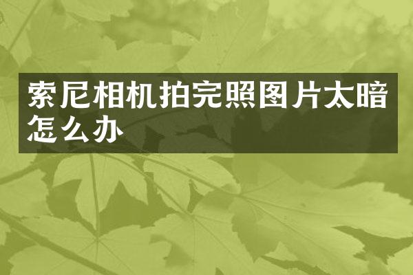 相机拍完照图片太暗怎么办