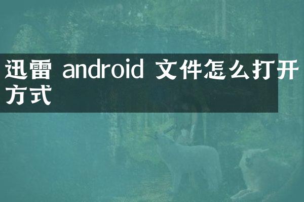 迅雷 android 文件怎么打开方式