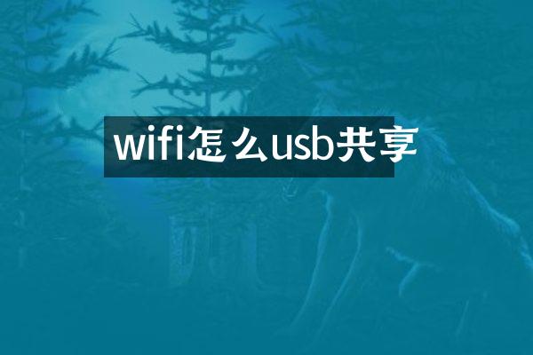 wifi怎么usb共享