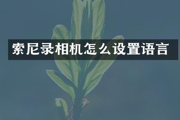 录相机怎么设置语言