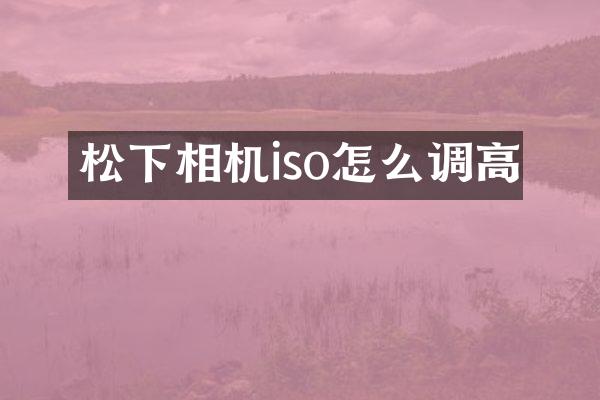相机iso怎么调高