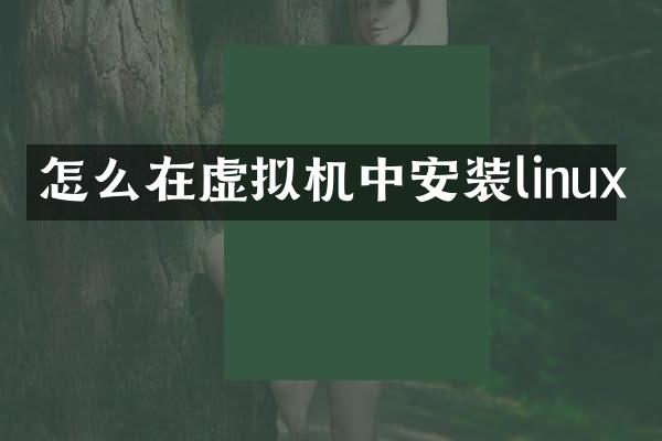 怎么在虚拟机中安装linux