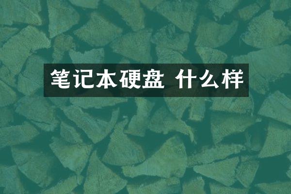 笔记本硬盘 什么样