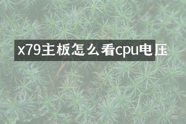 x79主板怎么看cpu电压