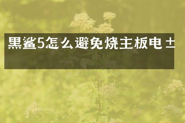 黑鲨5怎么避免烧主板电池