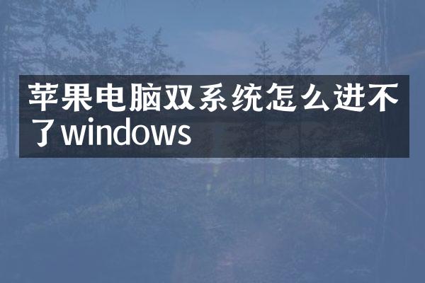 苹果电脑双系统怎么进不了windows