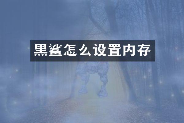 黑鲨怎么设置内存