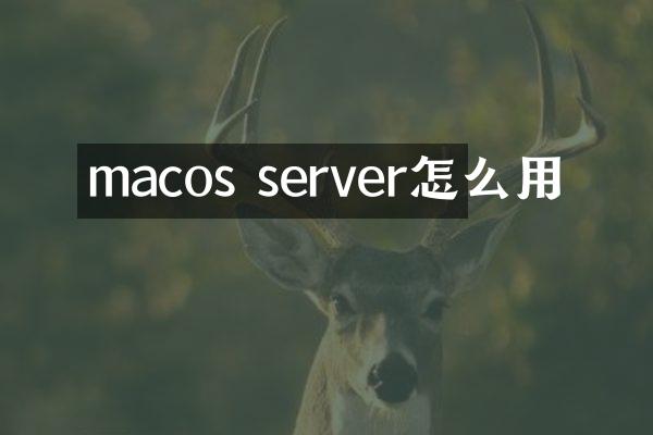 macos server怎么用