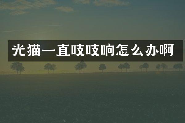 光猫一直吱吱响怎么办啊
