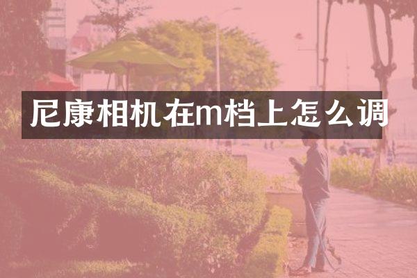 尼康相机在m档上怎么调