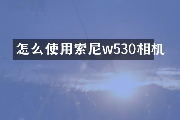怎么使用w530相机