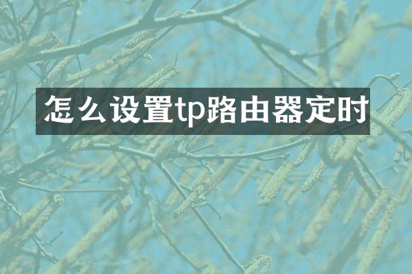 怎么设置tp路由器定时