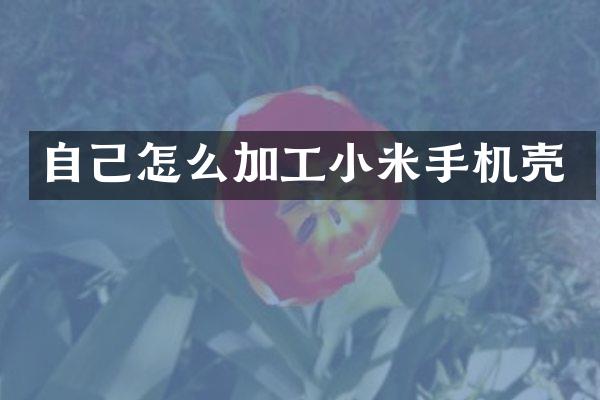 自己怎么加工小米手机壳