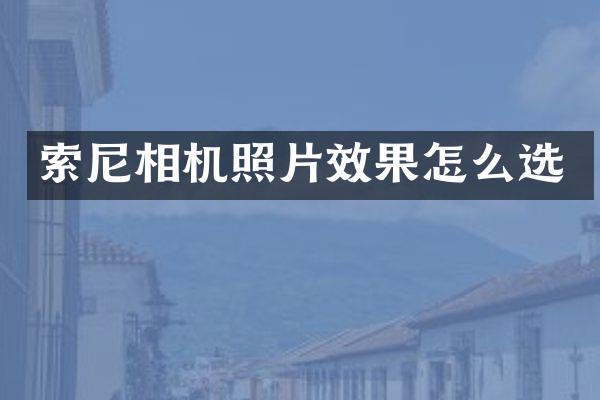 相机照片效果怎么选