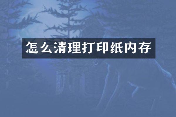 怎么清理打印纸内存