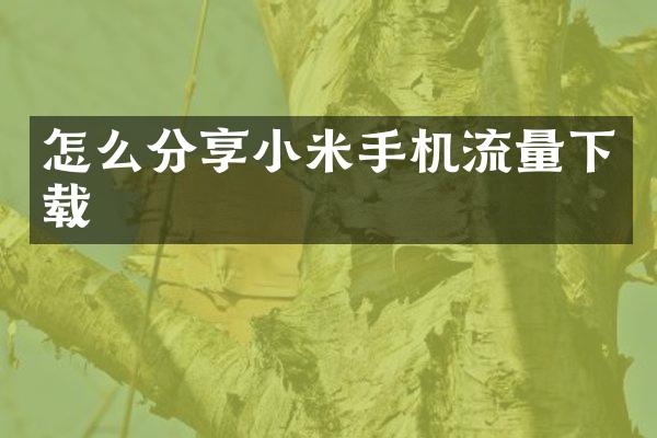 怎么分享小米手机流量下载