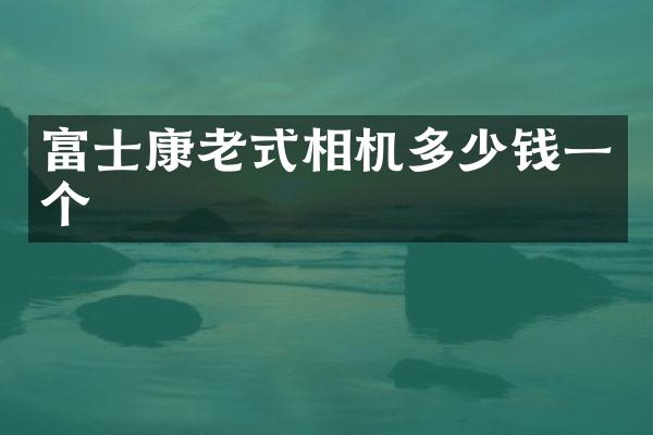 富士康老式相机多少钱一个