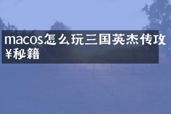 macos怎么玩三国英杰传攻略秘籍