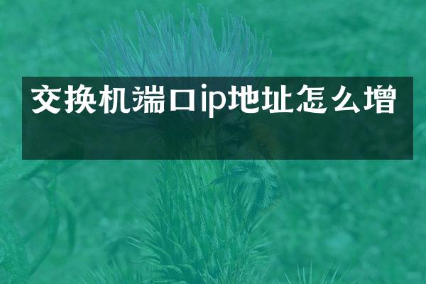 交换机端口ip地址怎么增加