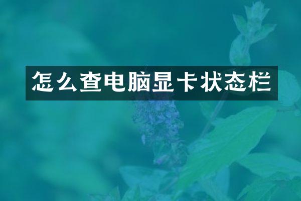 怎么查电脑显卡状态栏