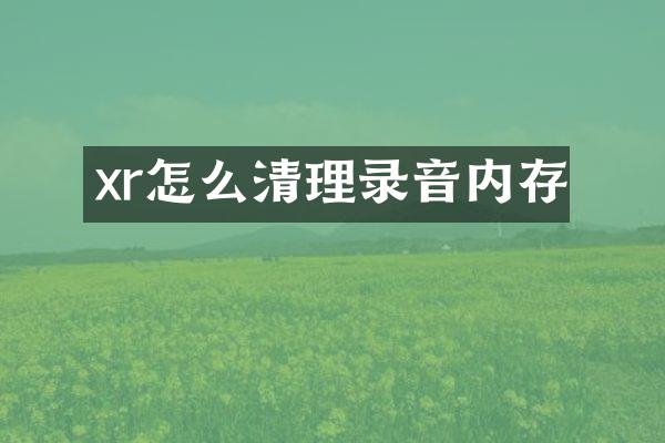 xr怎么清理录音内存