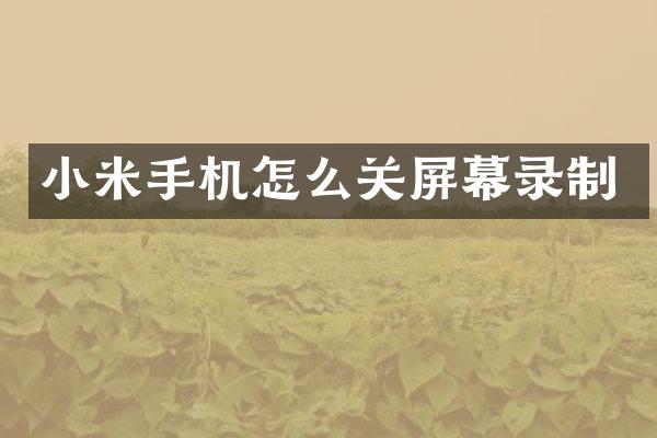 小米手机怎么关屏幕录制