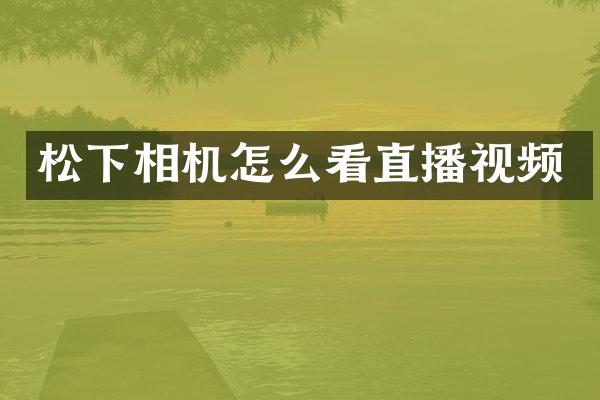 相机怎么看直播视频