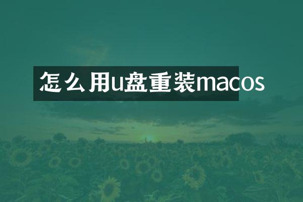 怎么用u盘重装macos