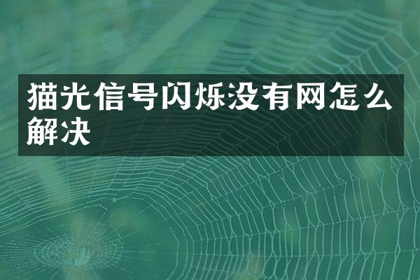 猫光信号闪烁没有网怎么解决