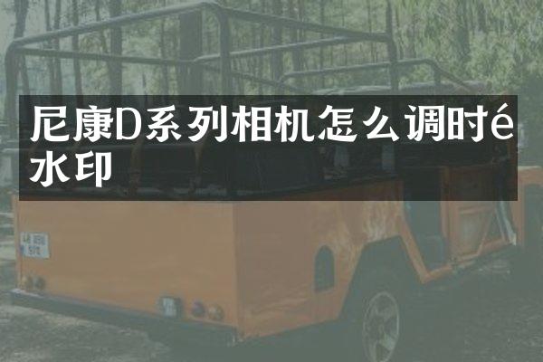 尼康D系列相机怎么调时间水印