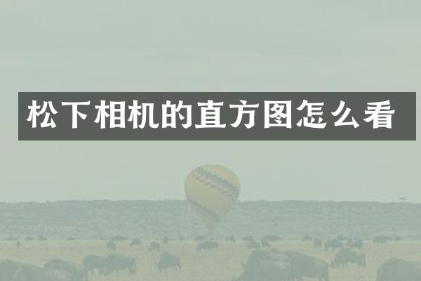 相机的直方图怎么看