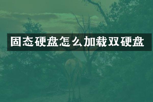 固态硬盘怎么加载双硬盘