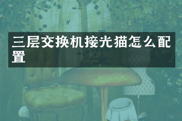 三层交换机接光猫怎么配置