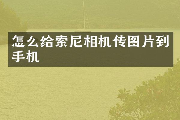 怎么给相机传图片到手机