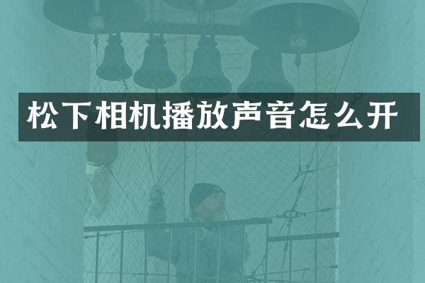 相机播放声音怎么开